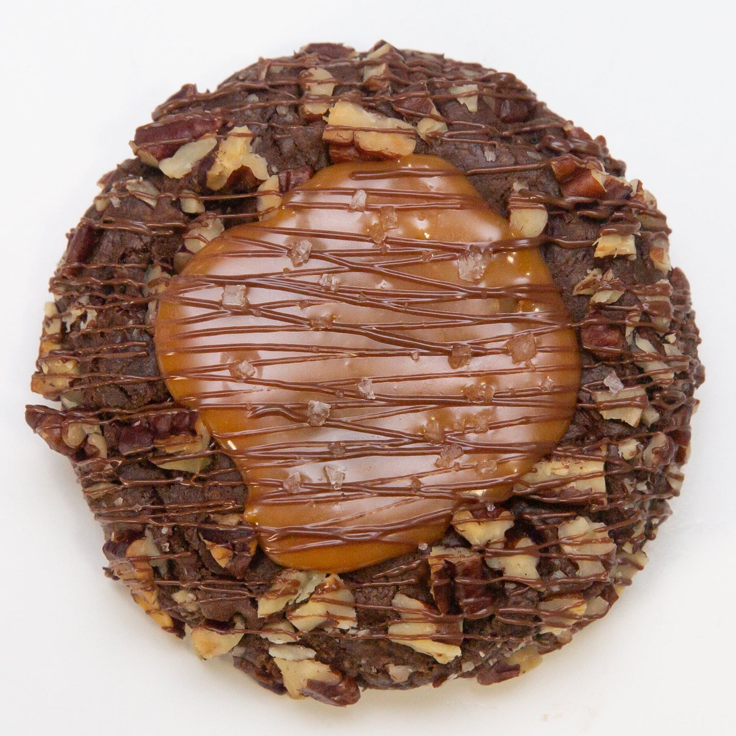 Turtle Swirl Cookie
